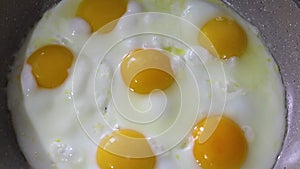 Roasting eggs in a frying pan. Scrambled eggs are fried in a frying pan, there is steam