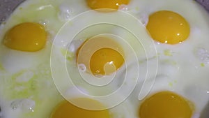 Roasting eggs in a frying pan. Scrambled eggs are fried in a frying pan, there is steam