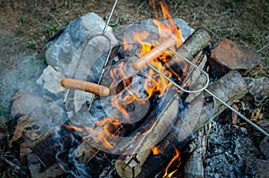 Roasting hot dogs over campfire