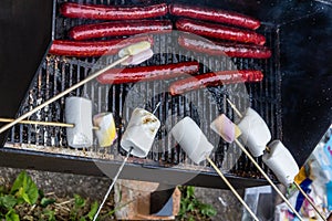 Roasting hotdogs and marshmallows.