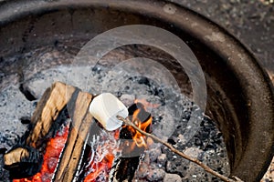 Roasting large marshmallow on a stick over the campfire firepit. Camping family fun