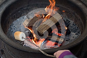 Roasting large marshmallow on a stick over the campfire firepit. Camping family fun