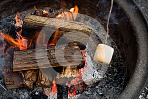 Roasting large marshmallow on a stick over the campfire firepit. Camping family fun