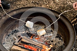 Roasting large marshmallows on a stick over the campfire firepit. Camping family fun