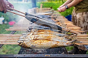 Roasting mackerel on a charcoal grill during an outdoor picnic in the park. fish as a delicacy to eat