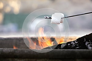 Roasting marshmallows at the beach