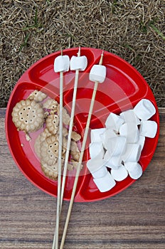 Roasting marshmallows photo