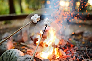 Roasting marshmallows on stick at bonfire. Having fun at camp fire.