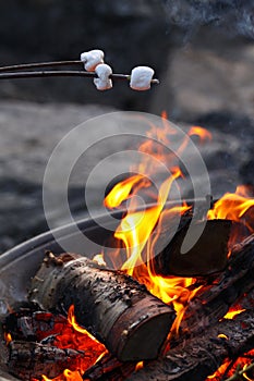 Roasting Marshmellows Over a Fire photo