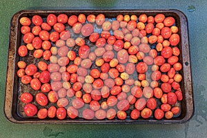 Roasting pan with roasted winter grape tomatoes