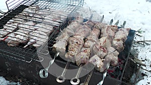 Roasting pork shashlik and quail shashlik .