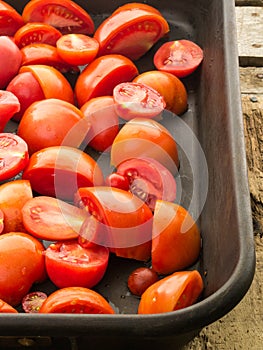 Roasting Tomatoes