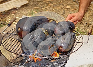 Roasting vegetables