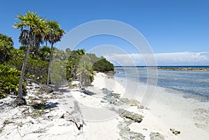 Roatan Resort Island Empty Coastline