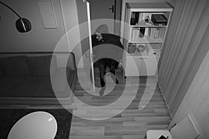 Robber Entering In House