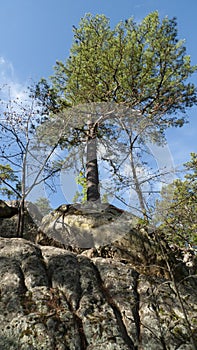 Robber`s Cave State Park, Wilburton, Oklahoma