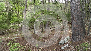 Robber`s Cave State Park, Wilburton, Oklahoma