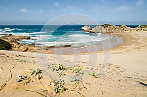 Robberg nature reserve near plettenberg bay indian ocean waves. South african beautiful landscape, South Africa, Garden route.