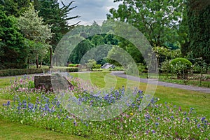 Robert Burns Memorial gardens and the wild flowers in bloom in Alloway near Ayr Scotland