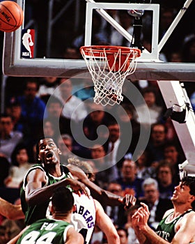 Robert Parish, Boston Celtics