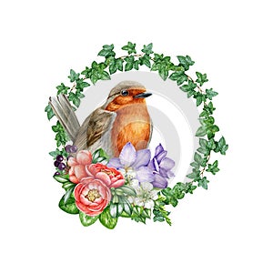 Robin bird with floral decoration. Watercolor painted illustration. Hand drawn Garden bird with tender flower and ivy