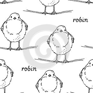 Robin bird hand drawn vector illustration, The European robin