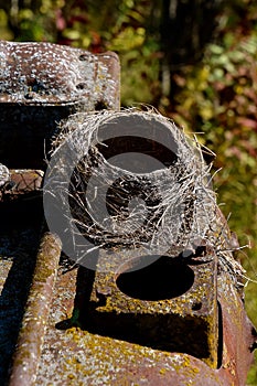Robin bird nest on an engine block