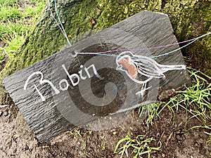 Robin Bird Sign