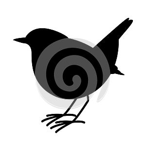 Robin bird ,vector illustration , black silhouette