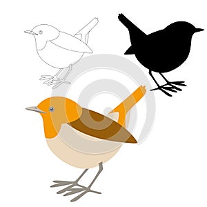 Robin bird vector illustration flat style black silhouette