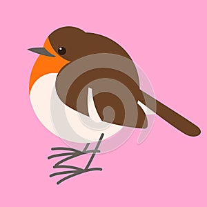 Robin bird, vector illustration , flat style ,profile