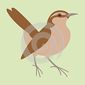 Robin bird , vector illustration , flat style ,profile