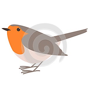 Robin bird,vector illustration ,flat style, profile