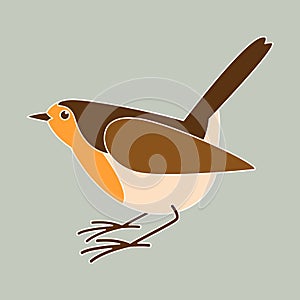 Robin bird vector illustration, flat style,profile