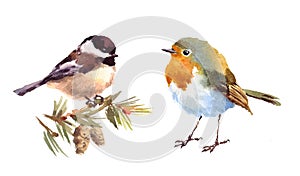 Robin and Chickadee Birds Watercolor Illustration Set Hand Drawn