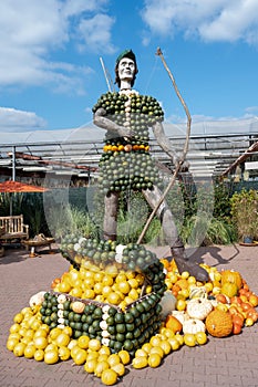 Robin Hood made of olorful pumpkins in different shape, sizes and colors. Green, yellow and orange pumpkins built a statue