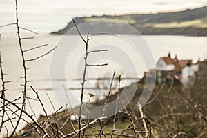 Robin Hood`s Bay - a view from above/the branches.