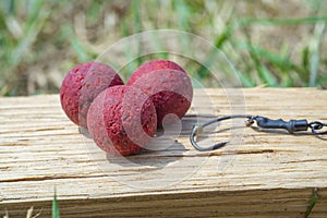 Robin Red Boilies with fishing hook. Fishing rig for carps, boilie rig, near the lake on a piece of wood