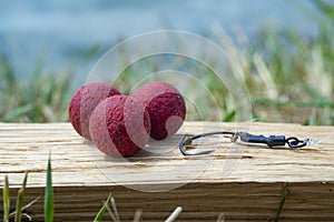 Robin Red Boilies with fishing hook. Fishing rig for carps, boilie rig, near the lake on a piece of wood