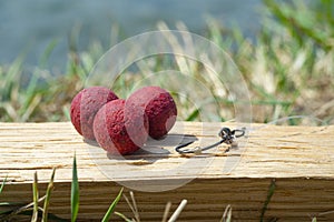 Robin Red Boilies with fishing hook. Fishing rig for carps, boilie rig, near the lake on a piece of wood
