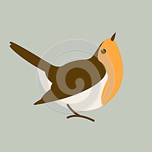 Robin red breast bird, vector illustration, flat style