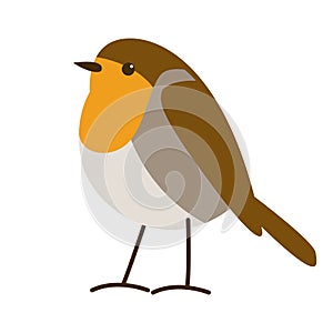 Robin red breast bird, vector illustration, flat style