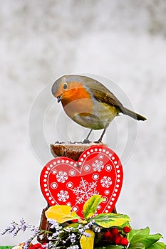 Robin on red heart decoration. Valentine greeting card with copy space