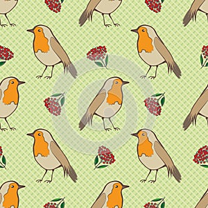 Robin Redbreast, berries and leaf foliage seamless vector pattern background. Garden birds and fruit of cotoneaster