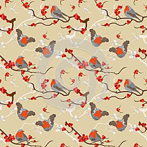 Robin redbreast pattern