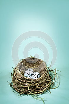 Robin's Nest