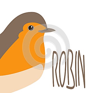 Robin song bird vector illustration flat style