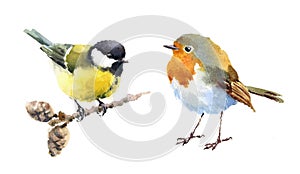 Robin and Tit Birds Watercolor Illustration Set Hand Drawn