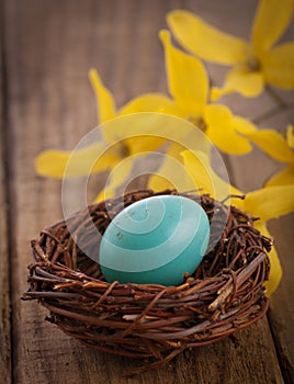 Robins Egg in Rustic Setting with Yellow Flowers