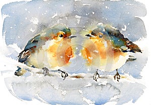 Robins Watercolor Winter Bird Illustration Hand Painted